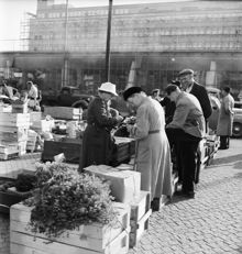 Grönsaksförsäljning på Klaratorget  år 1951