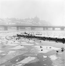 Vy över Riddarfjärden mot Söder Mälarstrand. Isflak med sjöfåglar. Centralbron i fonden