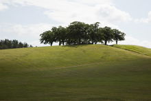 Skogskyrkogården Almhöjden