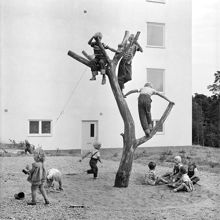 Vällingby. Lekträdet