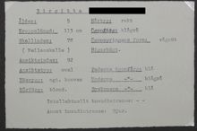Beskrivning av 5 åriga Birgittas näsa, ansiktsform, hårtyp mm - skolarbete 1938-1939
