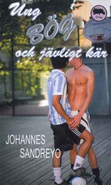 Ung, bög och jävligt kär / Johannes Sandreyo