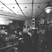Klarabergsgatan 23. Interiör från A. Olssons blomsterhandel