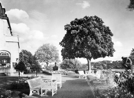Terrass och park