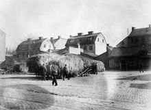 Höhandel, hästar med hölastade vagnar vid Roslagstorg 16. Dåvarande kv. Lerlaven, nu Birger Jarlsgatan 46-48, kv. Asken