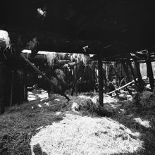 Enskede Gård. Interiör från det nedbrunna stallet. (F.d. oxhuset, byggt på 1830-40 talet)