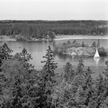 Mälarhöjden. Utsikt från Lyrans torn