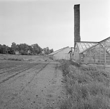 Växthus i Riddersvik, Hässelby. Växtodlingar