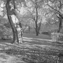 Eira sjukhus nedlagt 1955. Parken