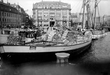 Tegelbacken. Vedskutor. Vy mot kvarteret Röda Bodarne. T.v. Kronprinsens stall, kv. Sjöhästen, sedermera Brandklipparen, ingår nu i kv. Snäckan
