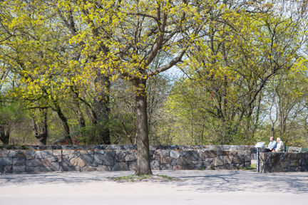 Josef Kjellgrens litterära skylt på Långholmsgatan.