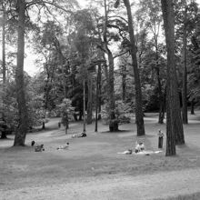 På utflykt i Hagaparken
