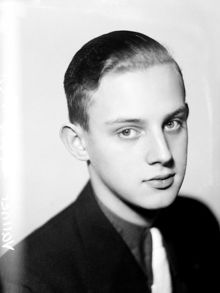 Porträtt av pojke, Vallner