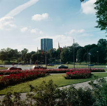Rosenplanteringar (i nuv. Roslagsparken) vid Roslagstull. Vy västerut mot Bellevueparken. I fonden Wenner-Gren Center