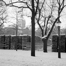 Vedlager i Kungsträdgården, januari 1943