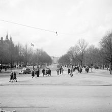 Djurgårdsvägen norrut. Lejonslätten t.h. och Nordiska Museet t.v