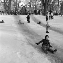 Floras kulle i Humlegården vintertid. Barn åker kana