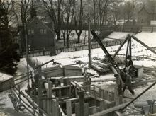 I Stadens trädgård