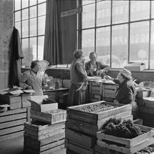 Centralsaluhallen. Anna Janssons butik