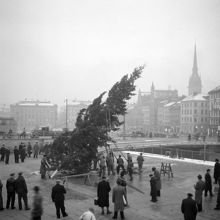 Resning av julgranen vid Slussen