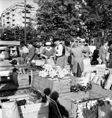 Grönsaksförsäljning på Klaratorget  år 1951