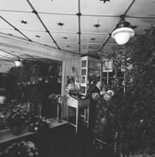 Klarabergsgatan 23. Interiör från A. Olssons blomsterhandel