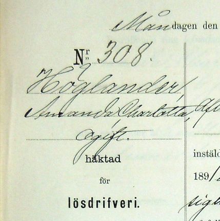 Ogifta Amanda Charlotta Höglander, 29, häktad för lösdriveri - polisförhör.