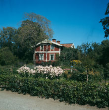 Vaktstugan på Skansen. Västra gaveln. Rosenplanteringar framför