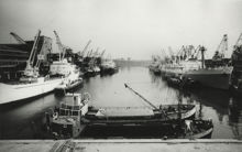 Frihamnen: Hamnbassängen