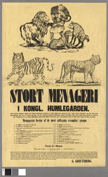 Stort menageri i Kongl. Humlegården