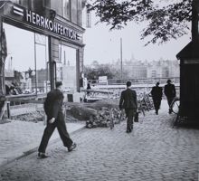 Kungsbroplan