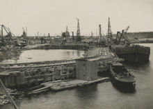 Frihamnen: Fångdamm