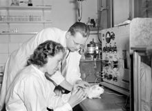 Experiment på marsvin utförs på Radiofysiska institutionen på Karolinska sjukhuset. Laborator Arne Forsberg