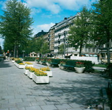 Blomsterlådor och parkbänkar i Karlavägsallén. Vy österifrån mot korsningen av Sibyllegatan. Pressbyråkiosk i bakgrunden