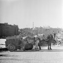 Renhållningen vid Strandvägen