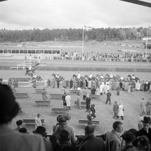 Publik vid Ulriksdals kapplöpningsbana