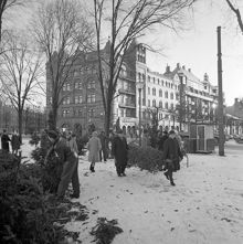 Julgransförsäljning vid Karlaplan. Huset i fonden revs 1969