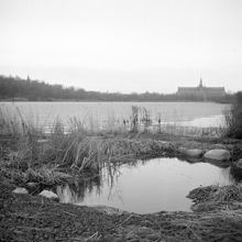 Utsikt från Källhagen mot Djurgården. Nordiska Museet i fonden