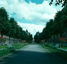 Kungsholmstorg norrut