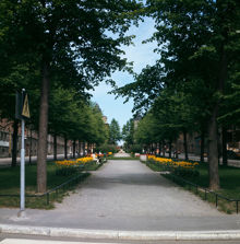 Kungsholmstorg norrut