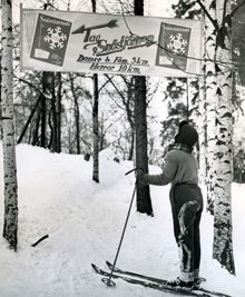 Snöstjärnan