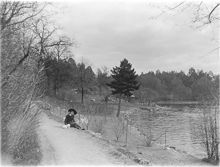 Strandmotiv från Brunnsviken vid Bergianska trädgården