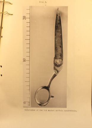 Skänkeln av en skräddarsax
