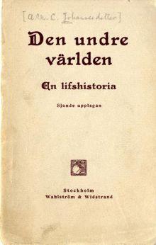Den undre världen : en lifshistoria / [Anna Johannesdotter]