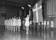 Lidingövägen 1, Gymnastiska Centralinstitutet. Uppvisning av svenska och danska trupper