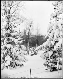Vinterbild av Humlegården