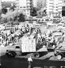 Grönsaksförsäljning på Klaratorget  år 1951