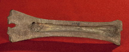 Islägg- en skridsko tillverkad av ben