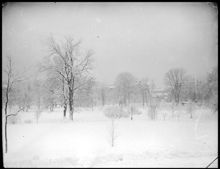 Humlegården vinter