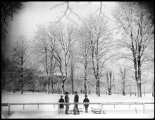 Vinter i Humlegården